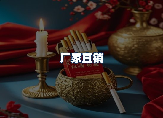 专业团队办公环境